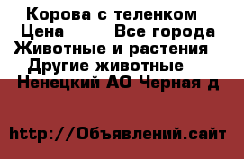 Корова с теленком › Цена ­ 69 - Все города Животные и растения » Другие животные   . Ненецкий АО,Черная д.